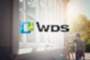Пластиковые окна WDS 